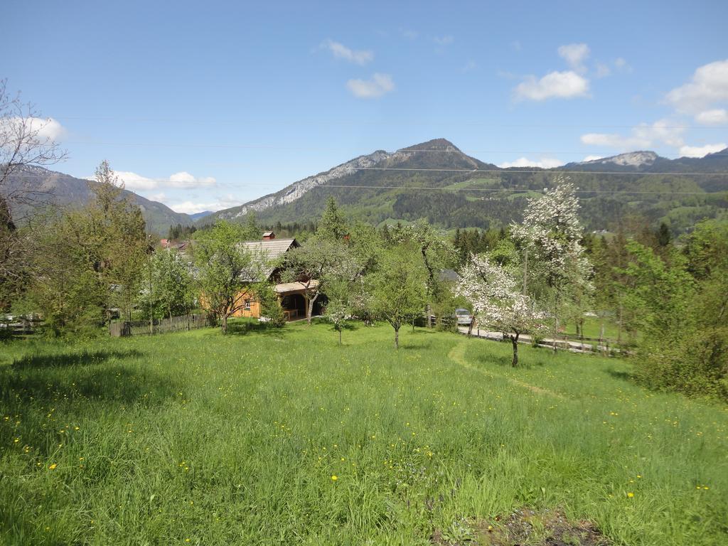 Chalet Ramsau 8 Бад Гойзерн Екстериор снимка