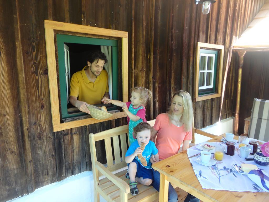 Chalet Ramsau 8 Бад Гойзерн Екстериор снимка