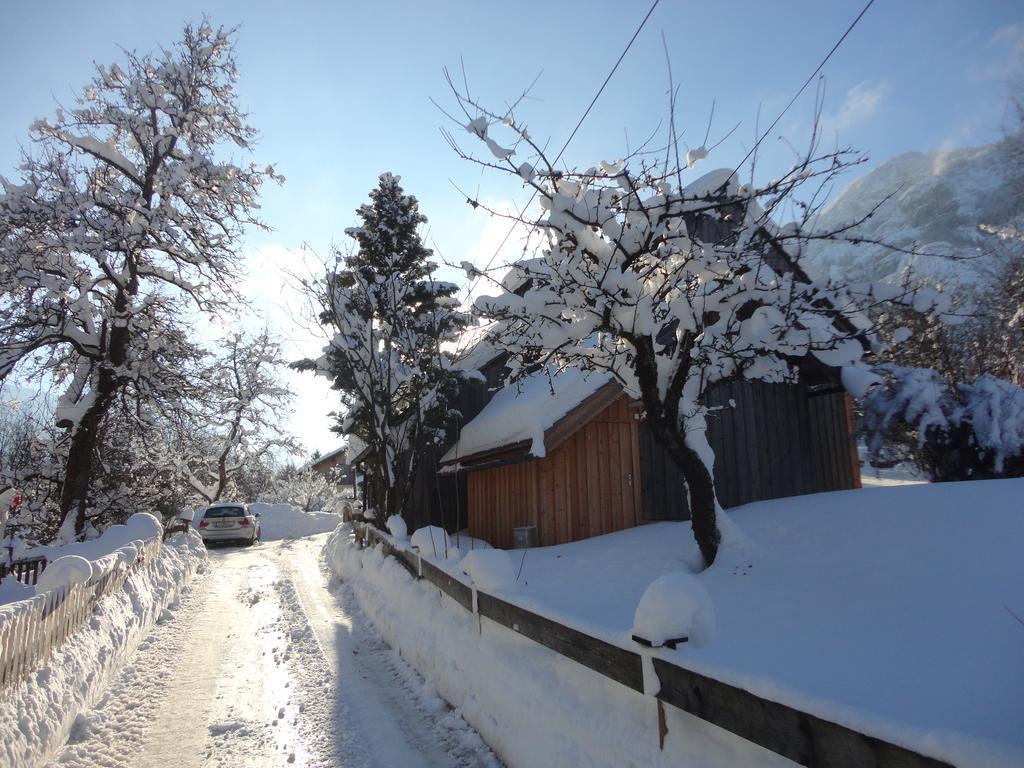 Chalet Ramsau 8 Бад Гойзерн Екстериор снимка