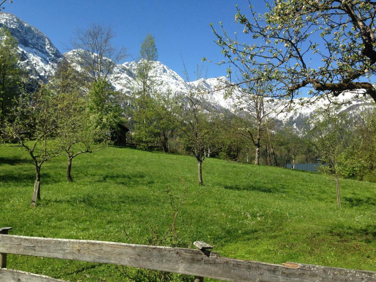 Chalet Ramsau 8 Бад Гойзерн Екстериор снимка